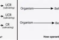 classical conditioning vs operant conditioning